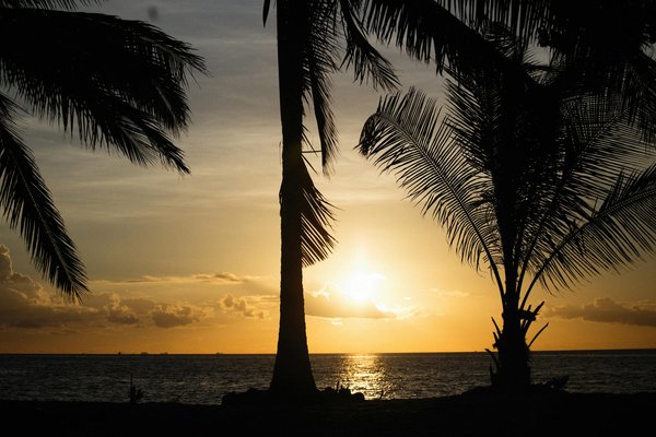 Le guide ultime pour choisir votre assurance voyage en asie