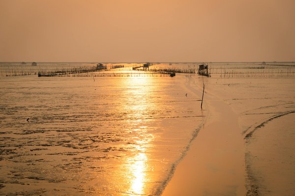 Explorez des Astuces pour Tirer le Meilleur Parti de Vos Chèques Vacances et Vivre Vos Passion Sportives !